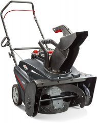 The Briggs & Stratton 1696737, by Briggs and Stratton