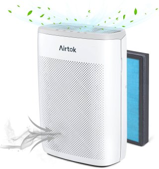 The AIRTOK AP1002, by AIRTOK