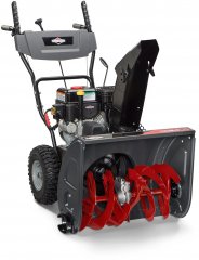 The Briggs & Stratton 1696610, by Briggs and Stratton