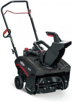 The Briggs & Stratton 1697099, by Briggs and Stratton