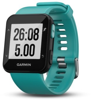 The Garmin Forerunner 30, by Garmin