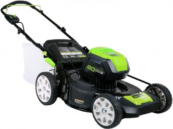 The Greenworks GLM801601, by Greenworks