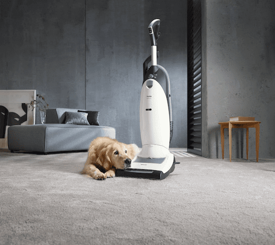 Picture 3 of the Miele Dynamic U1 Cat And Dog SHBE0.