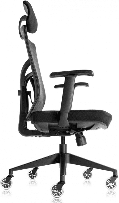 Picture 1 of the Office Oasis High Back Mesh Office Chair.