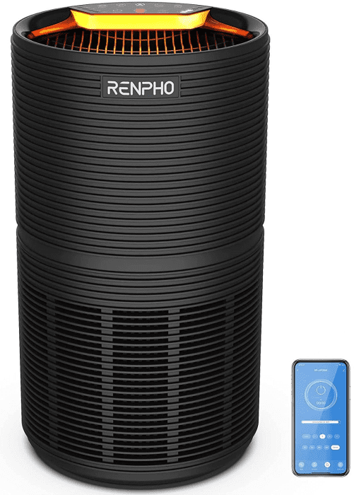 Picture 1 of the Renpho AP-089S.