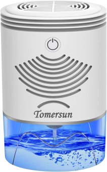 The TOMERSUN Mini, by TOMERSUN